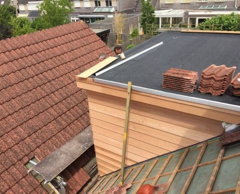 8-Koekoesbloem-te-Zeeland,-dakopbouw-vanaf-bovenzijde