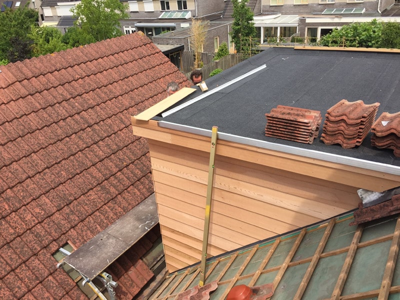 8-Koekoesbloem-te-Zeeland,-dakopbouw-vanaf-bovenzijde