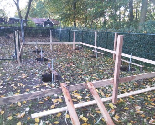 02-Zeeland-Graspeel-uitzetten